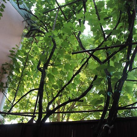 Hostel Old City Sololaki Tbilisi Exterior photo